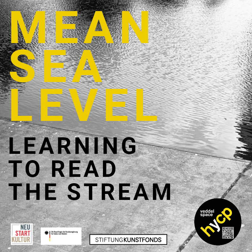 SaeLevel - Learning to Read the Stream
