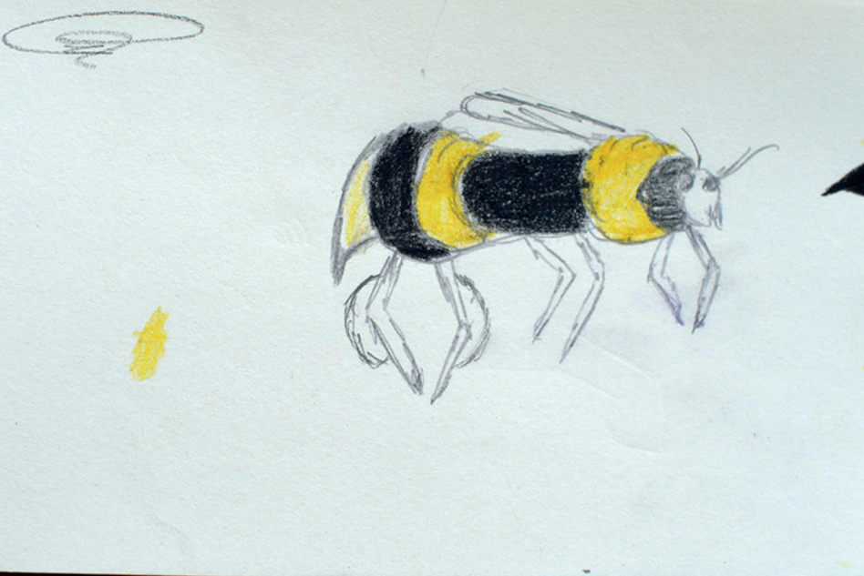 Vorgeschnittene EVA-Schaum-Formen – Insekten & Wassertiere, 30–90 Mm, Ca. 1070 Stück