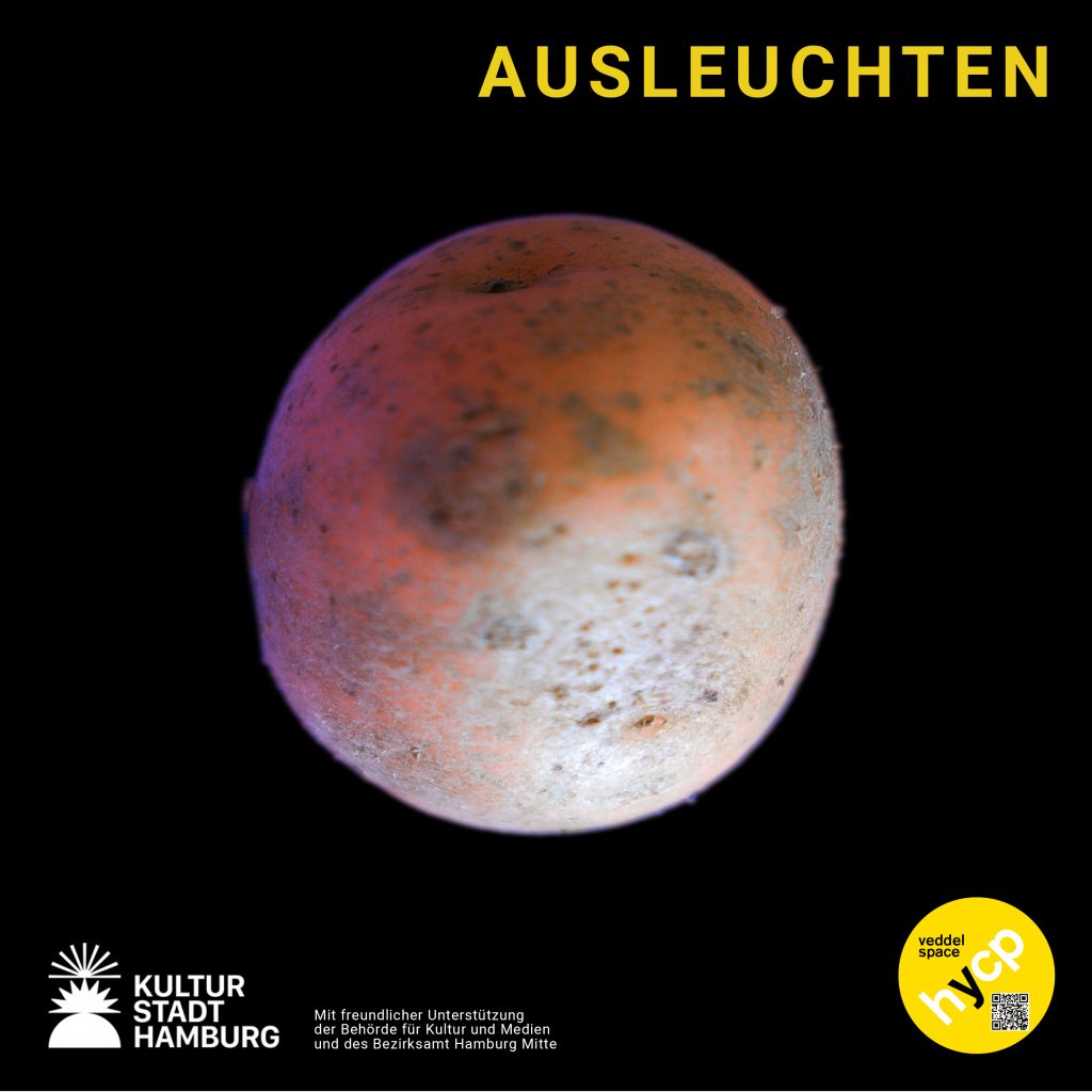 Ausleuchten - Videoprojektion in die Veddeler Winternacht